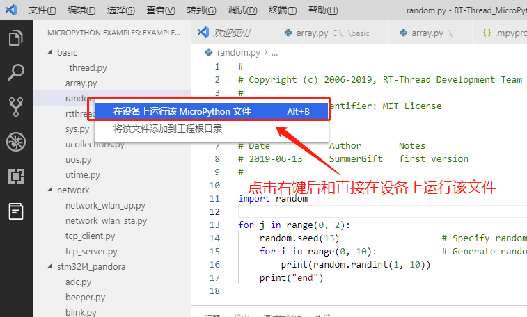 run_example_code